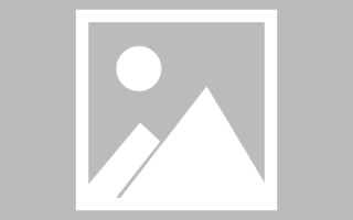 大庆肇庆教育网站建设（肇庆市教育平台登录入口）